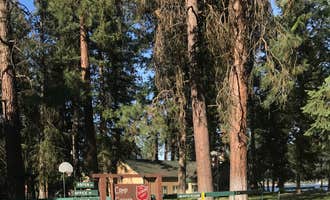 Camping near RV Park At Chewelah Golf & Country Club: Camp Gifford at Deer Lake, Loon Lake, Washington
