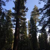 Review photo of General Creek Campground — Ed Z'Berg Sugar Pine Point State Park by Natalie G., August 30, 2020