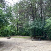 Review photo of Lebanon Hills Regional Park by Stephanie K., August 30, 2020