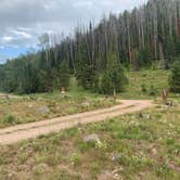 Review photo of Hinman Park by Kate L., August 30, 2020