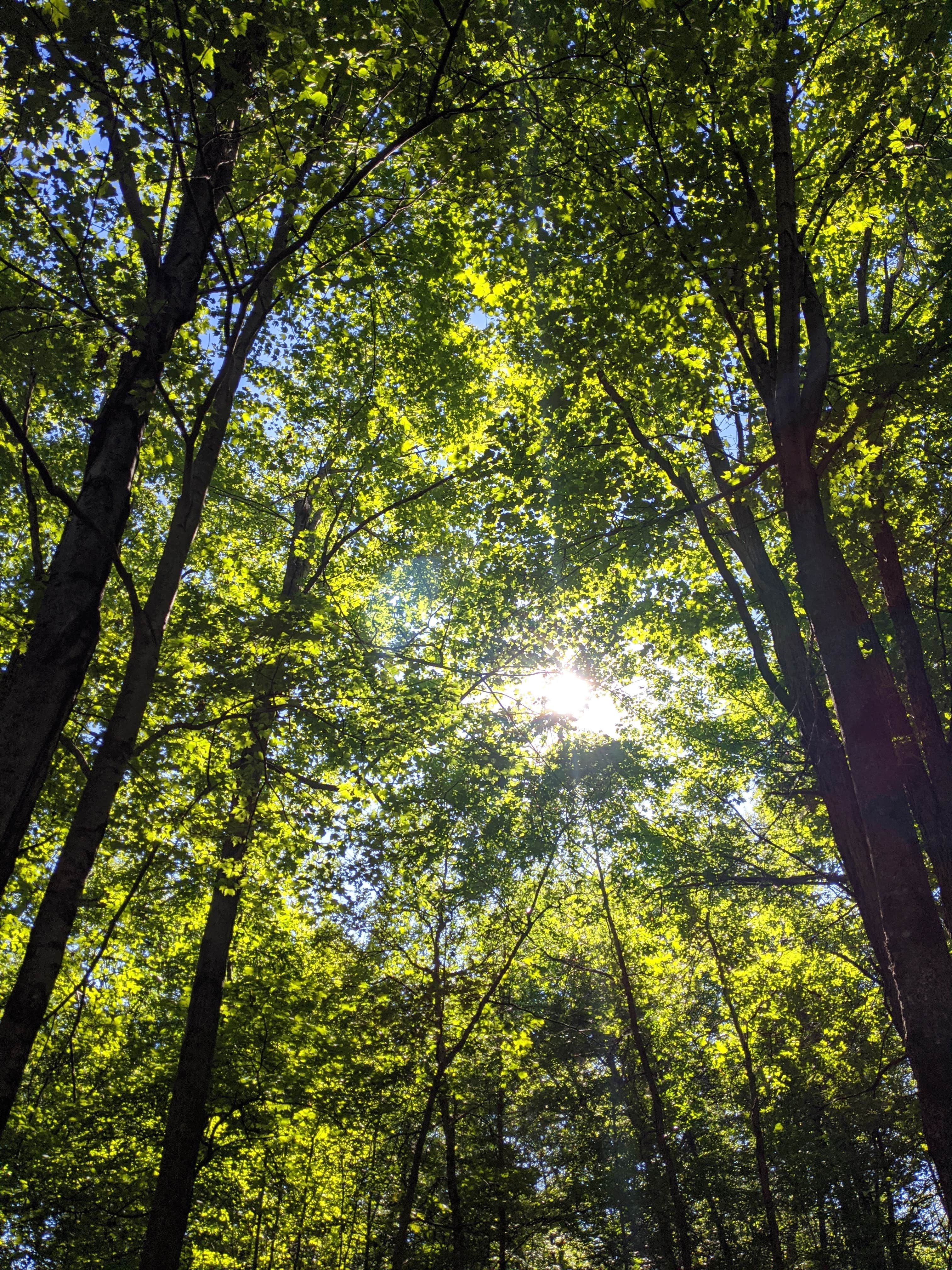 Camper-submitted photo at Mille Lacs Kathio Petaga Campground — Mille Lacs Kathio State Park near Holdingford, MN