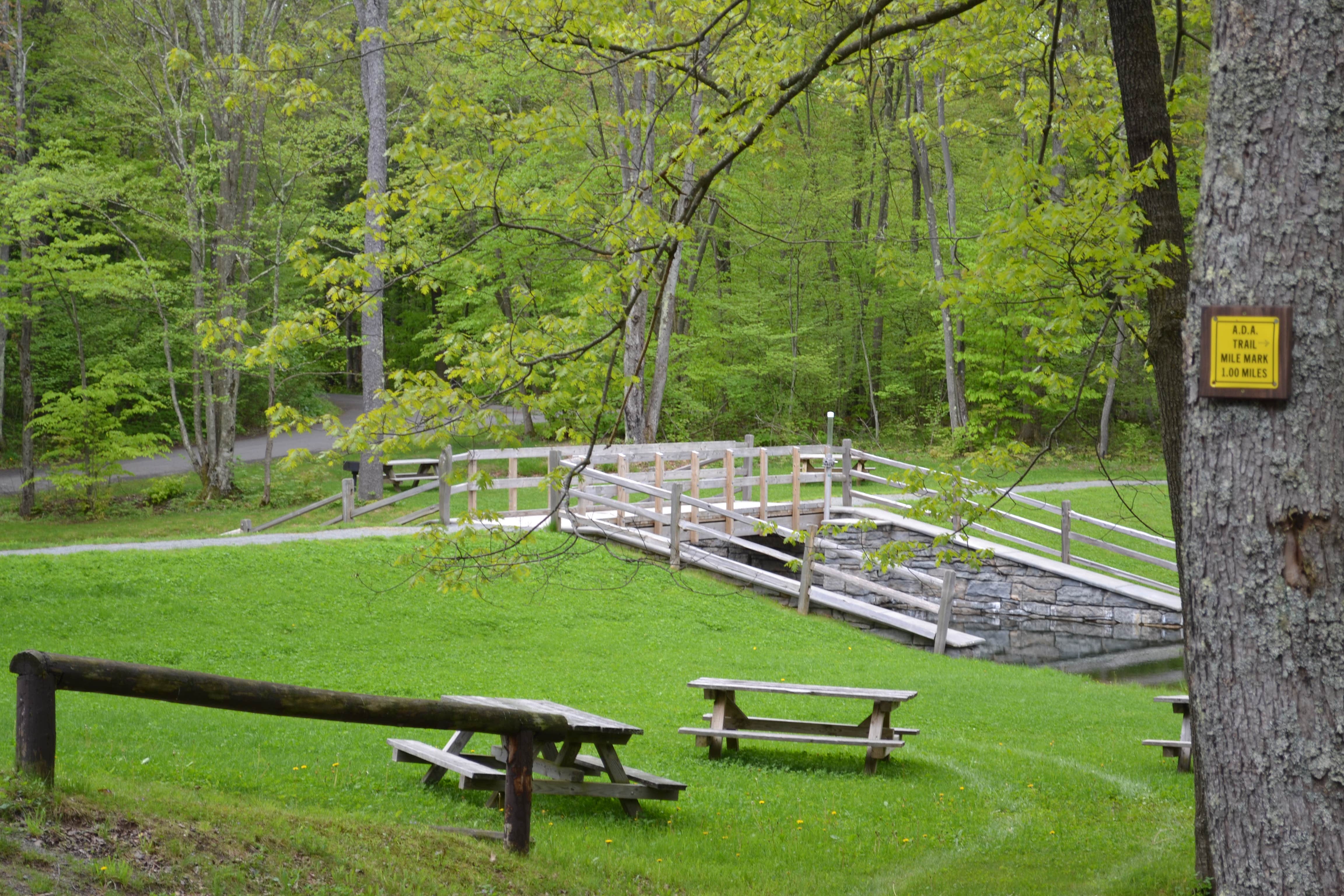 Maplecrest photo 2