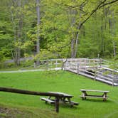 Review photo of Little Pond Campground by Greg C., July 6, 2016