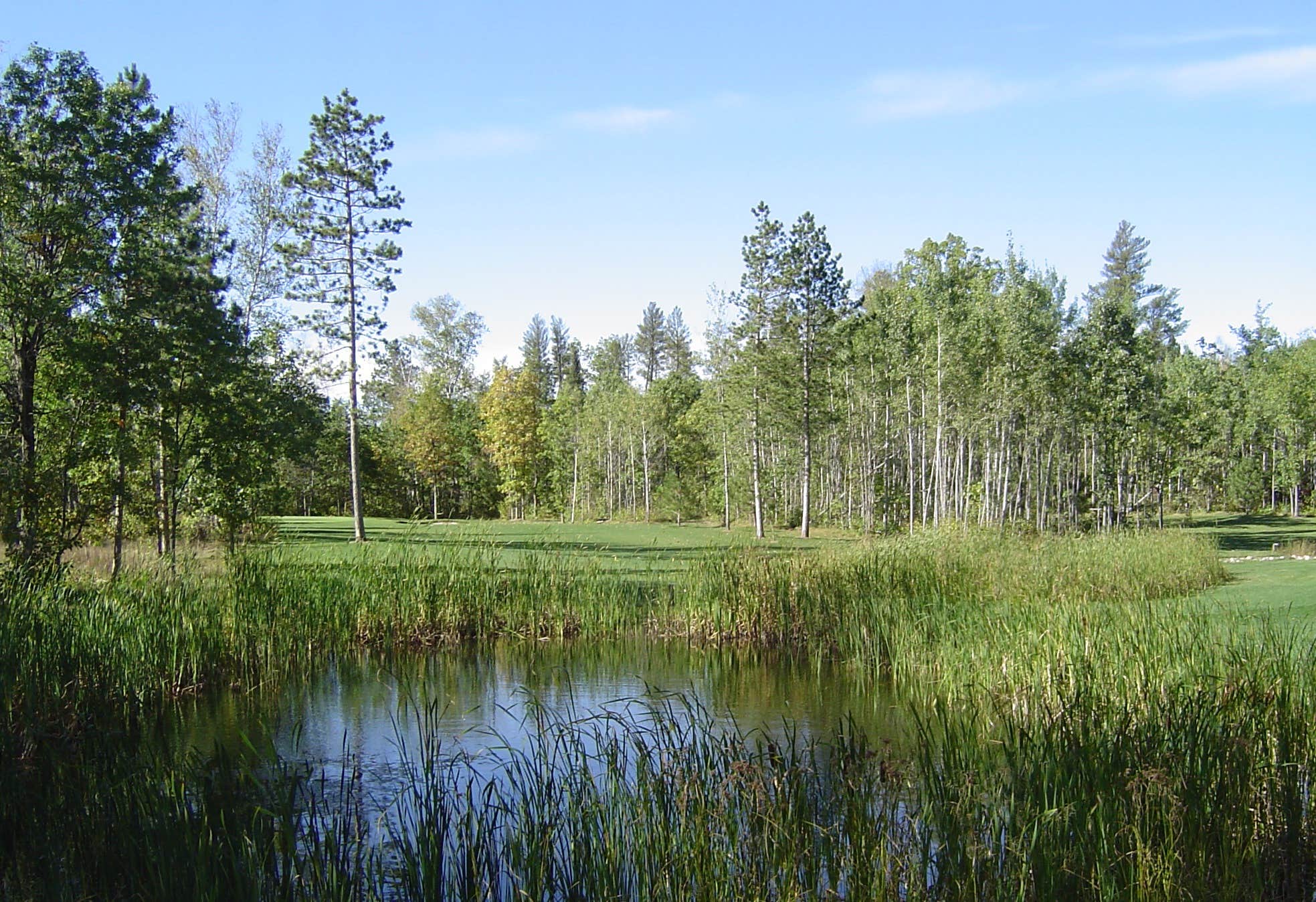 Camper-submitted photo at Wildwedge Golf and RV Park near Mississippi River Headwaters - Cross Lake