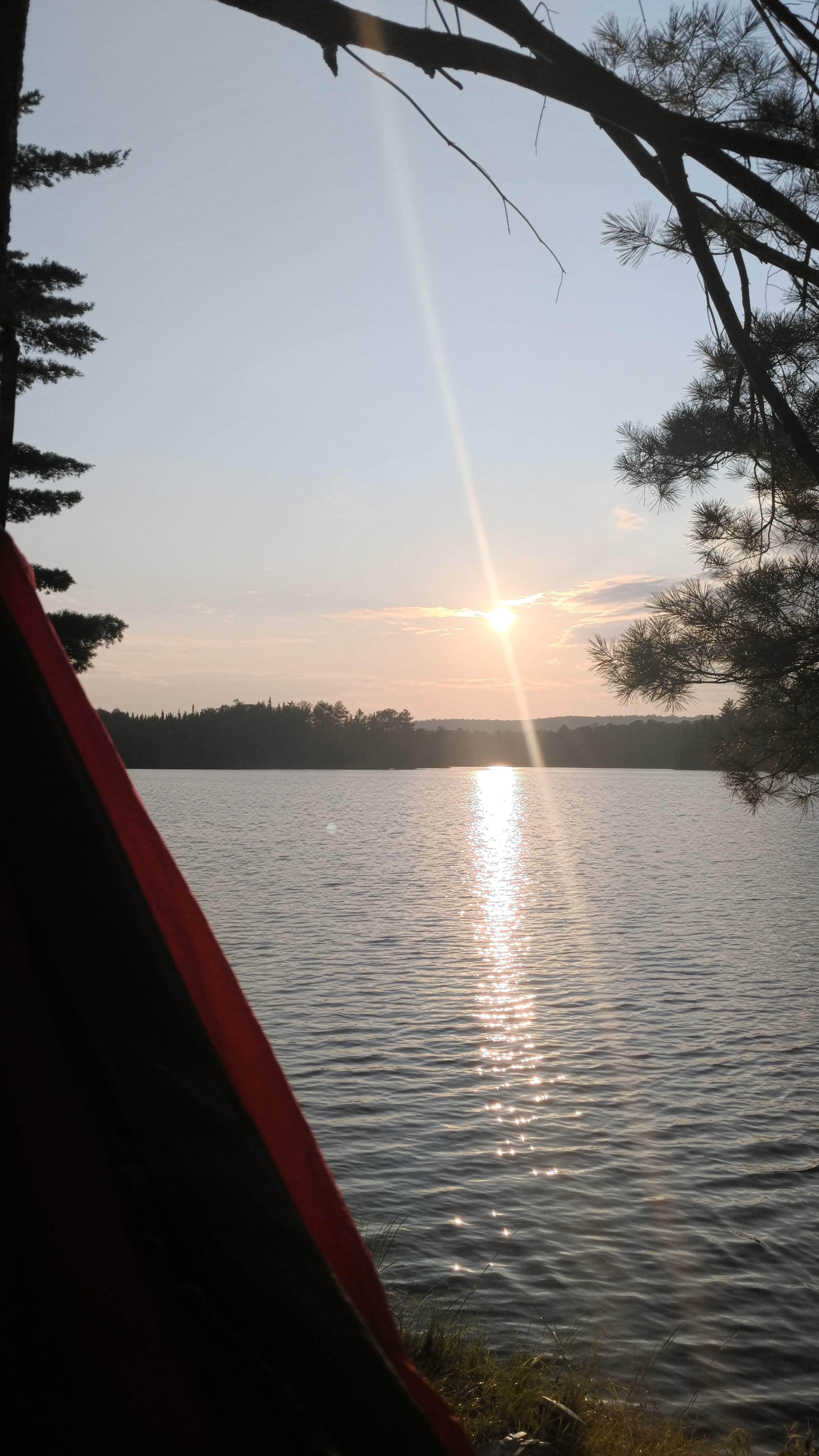View All