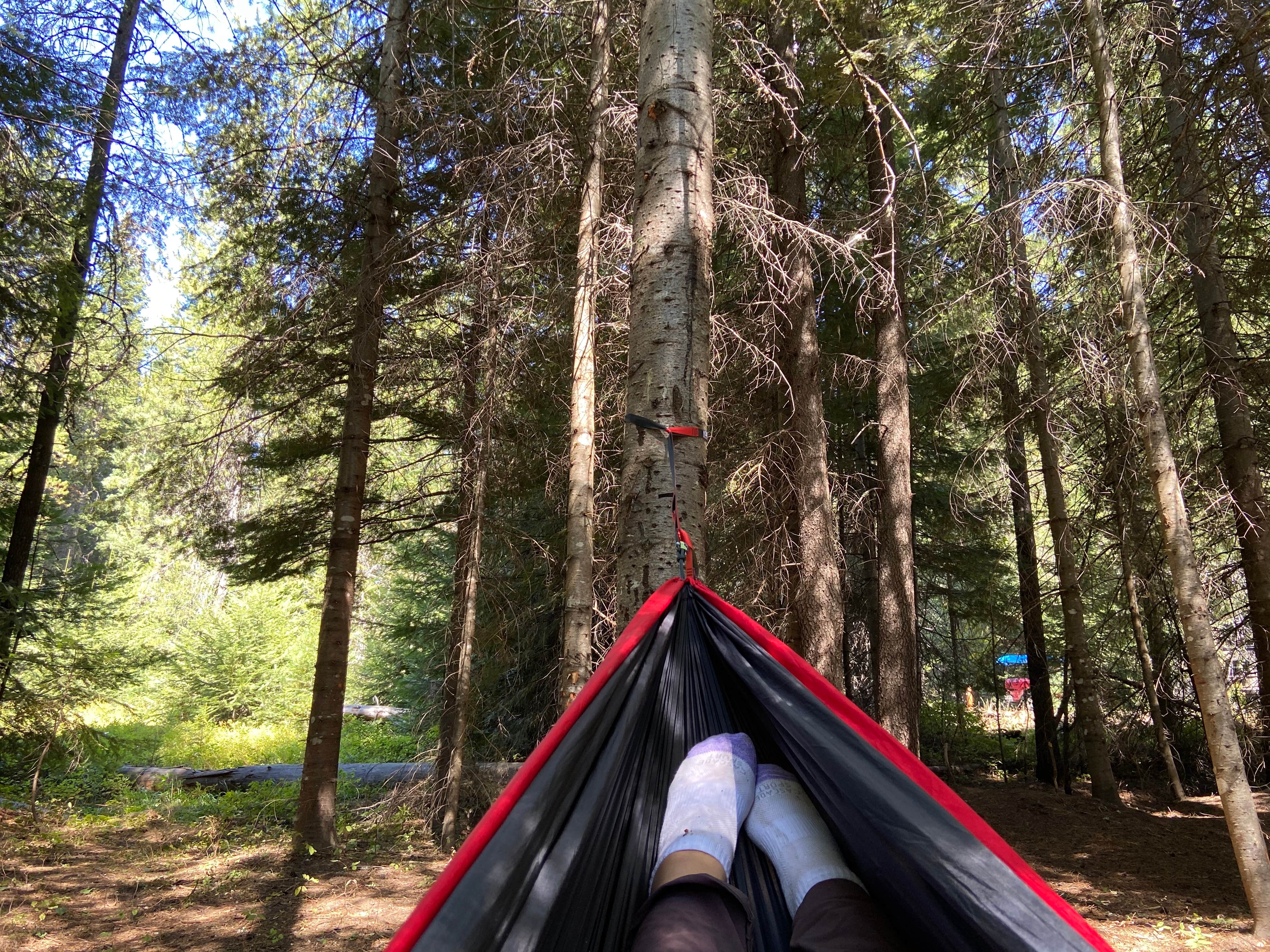 Camper-submitted photo at Elk Creek Campground near Clarkia, ID