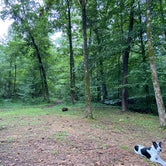 Review photo of Davy Crockett Campground by Traci C., August 30, 2020