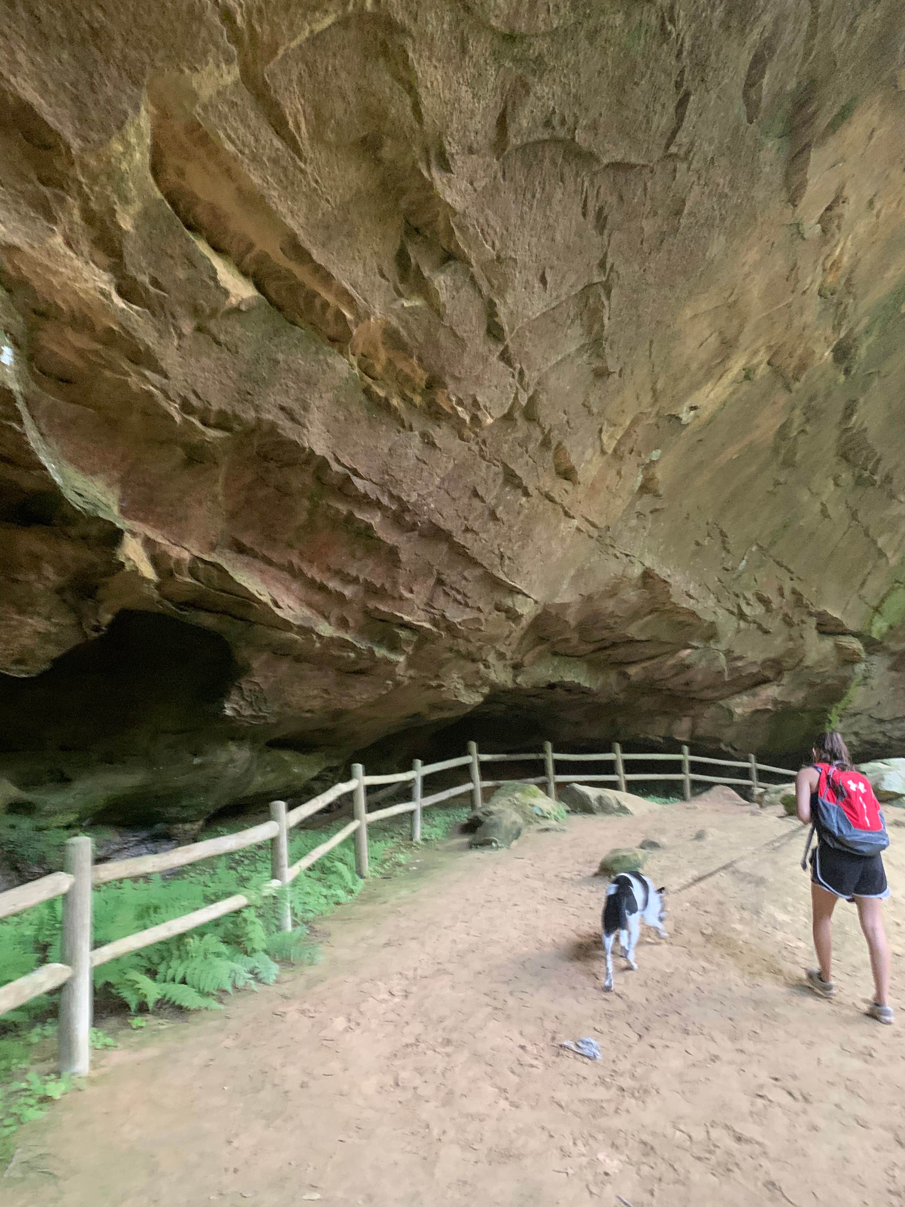 Traci C.'s photo of camping with pets at Pickett CCC Memorial State Park Campground near Jamestown, KY