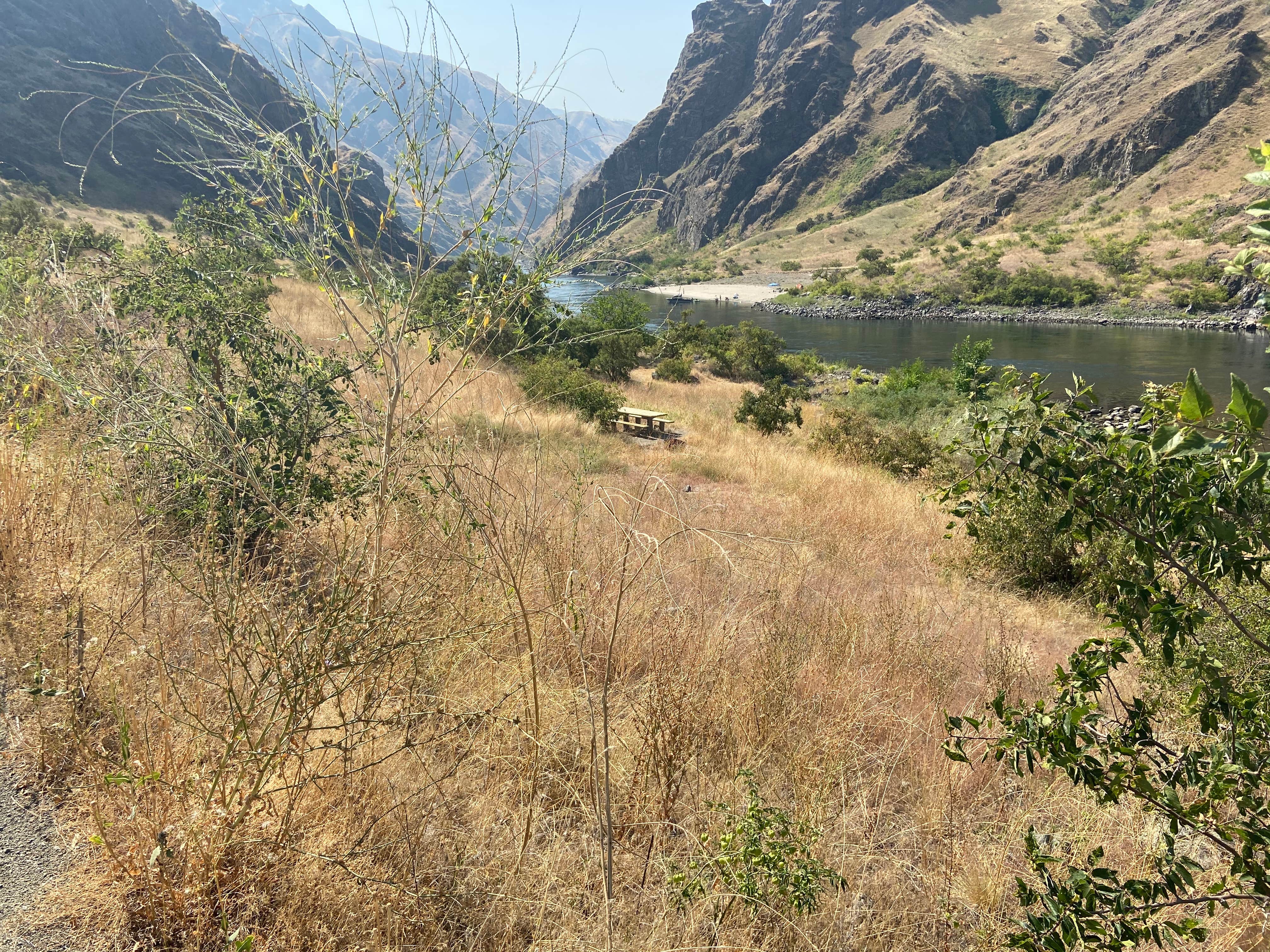 Camper-submitted photo at Pittsburg Campground near Grangeville, ID