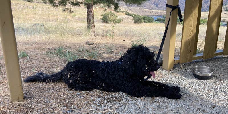 Camper submitted image from Pittsburg Campground