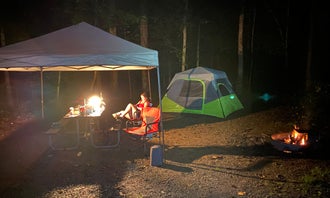 Camping near Rock Bottom Horse Camp: Wilderness Road State Park, Shawanee, Virginia