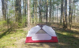 Adam M.'s photo at Letchworth State Park Campground near Churchville, NY