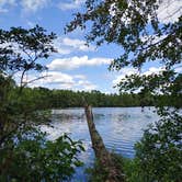 Review photo of Atsion Family Camp — Wharton State Forest by Denise J., August 31, 2020