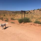 Review photo of Buckskin Gulch Dispersed by Sarah W., August 31, 2020