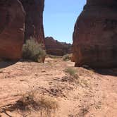 Review photo of Buckskin Gulch Dispersed by Sarah W., August 31, 2020