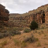 Review photo of Buckskin Gulch Dispersed by Sarah W., August 31, 2020