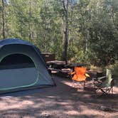 Review photo of June Lake Campground by Hannah L., August 31, 2020