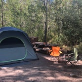 Review photo of June Lake Campground by Hannah L., August 31, 2020
