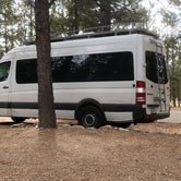 Review photo of North Campground — Bryce Canyon National Park by Dave L., May 11, 2018