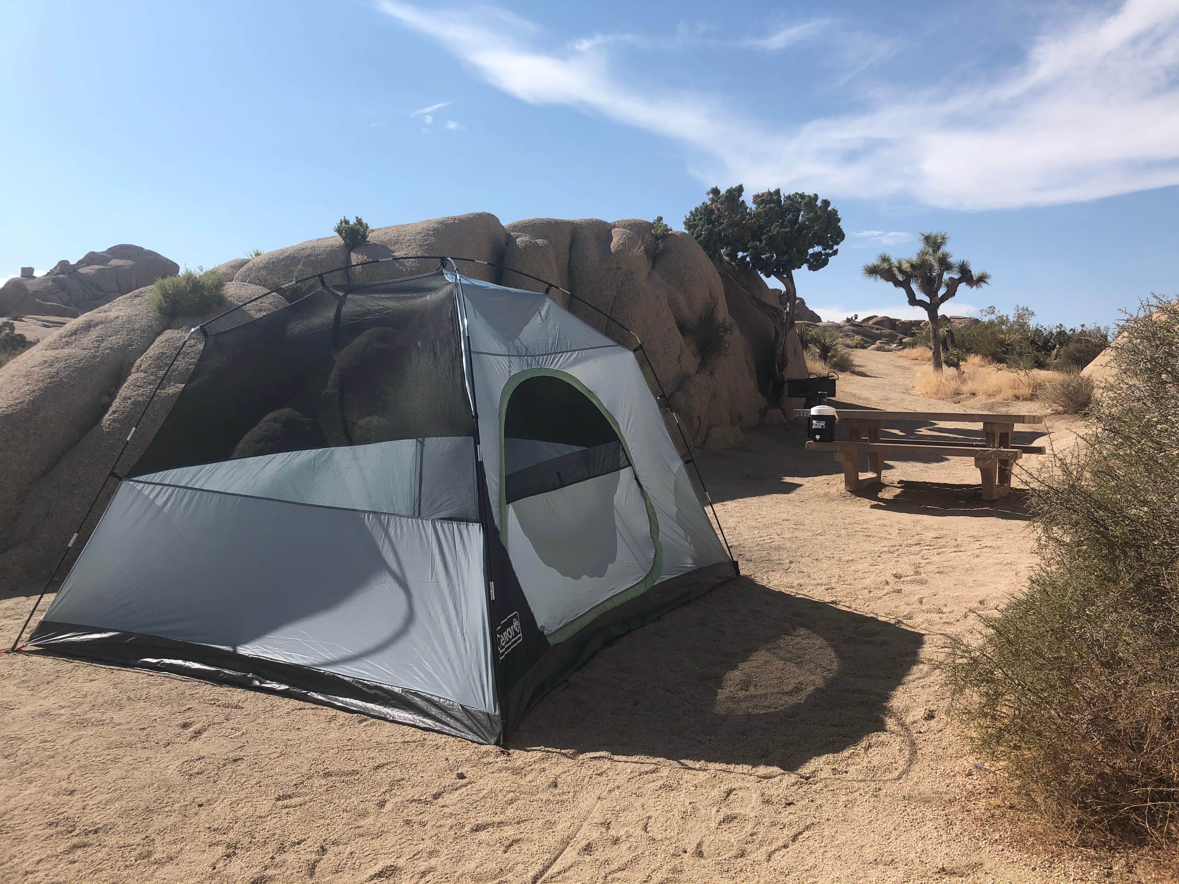 Hannah L.'s photo at Jumbo Rocks Campground — Joshua Tree National Park near Joshua Tree National Park