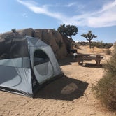 Review photo of Jumbo Rocks Campground — Joshua Tree National Park by Hannah L., August 31, 2020