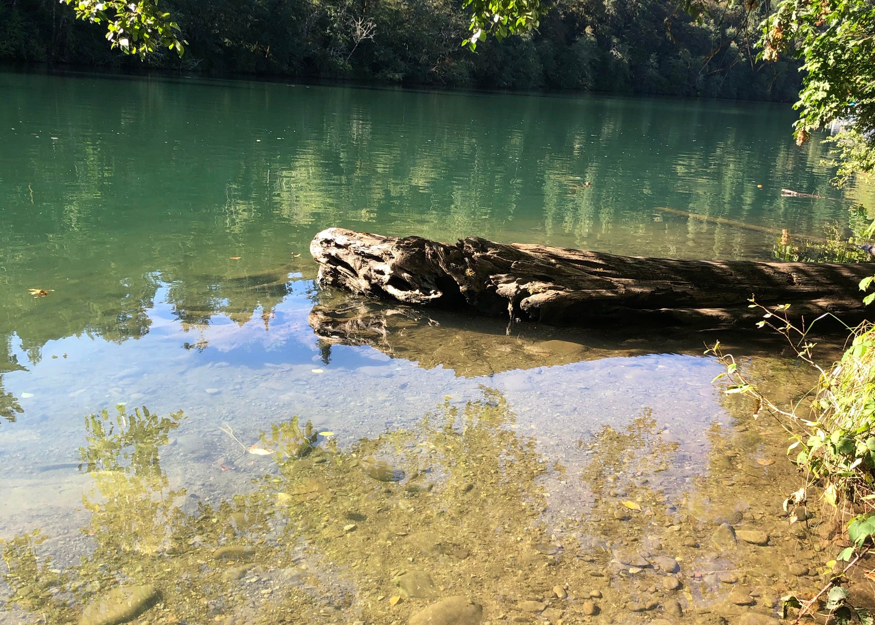 Sunnyside Park Camping The Dyrt