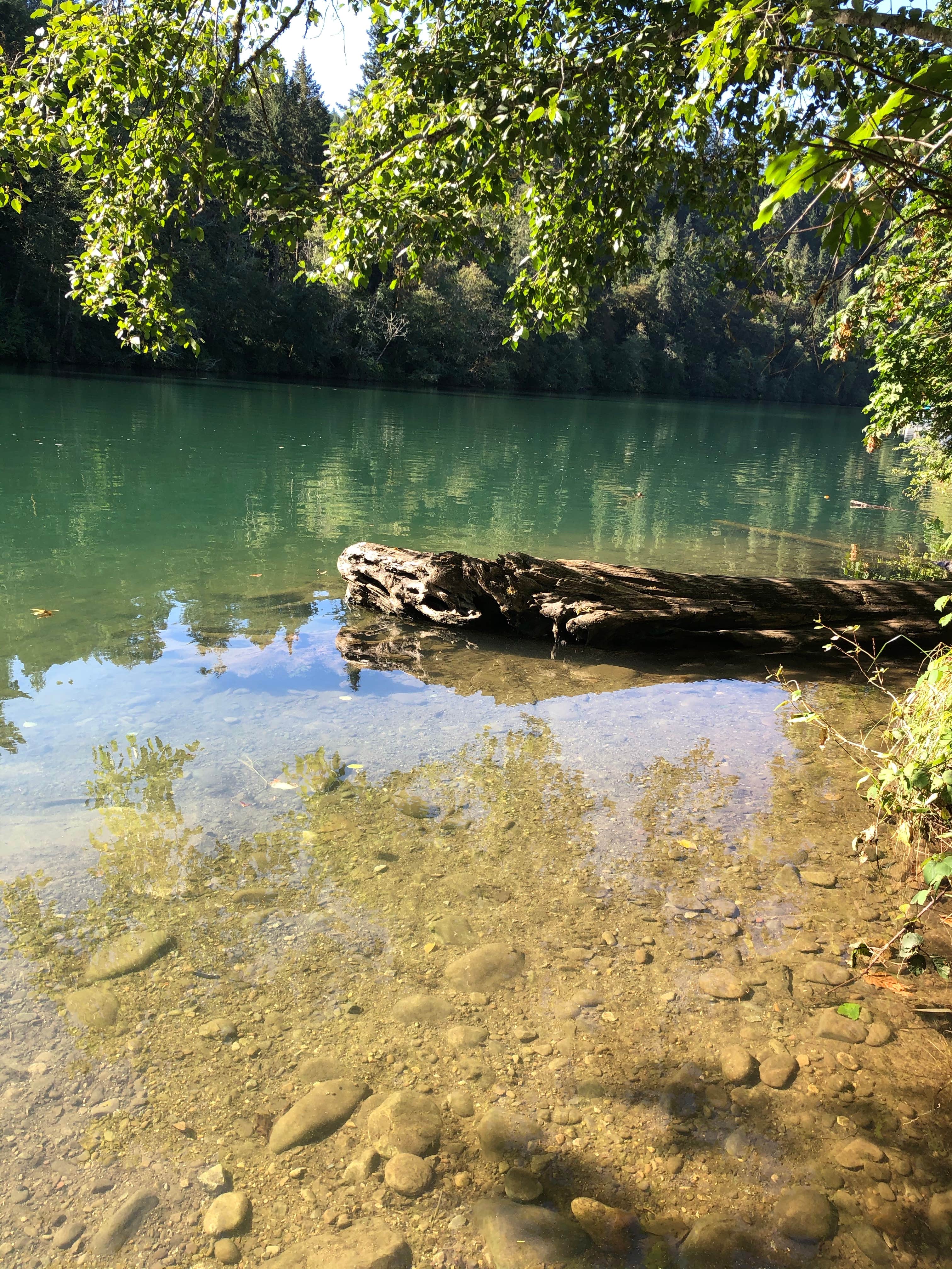 Water