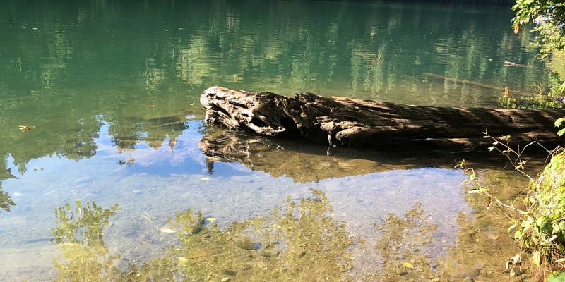 Camper submitted image from Sunnyside Park