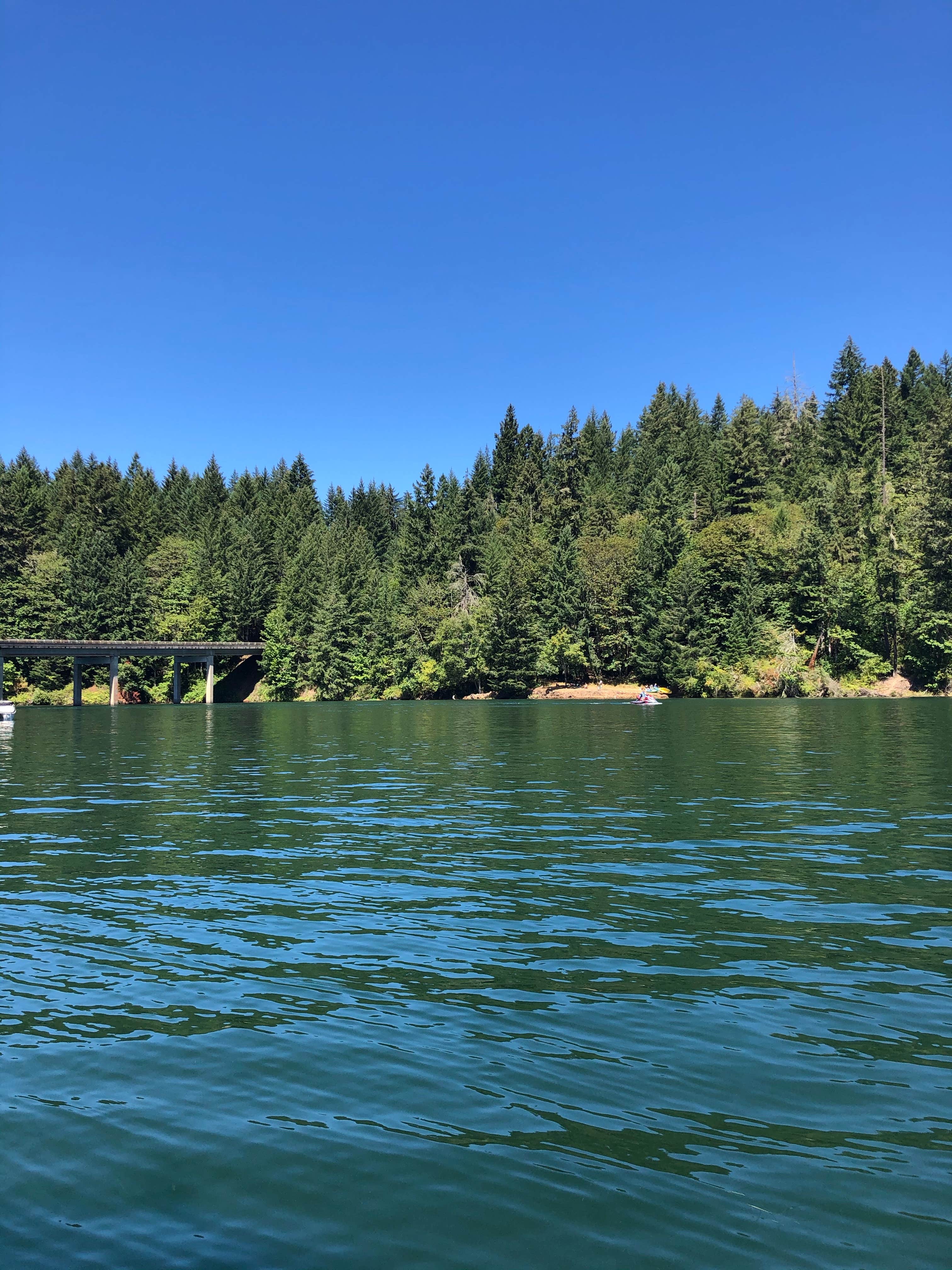 Camper-submitted photo at Sunnyside Park near Sweet Home, OR