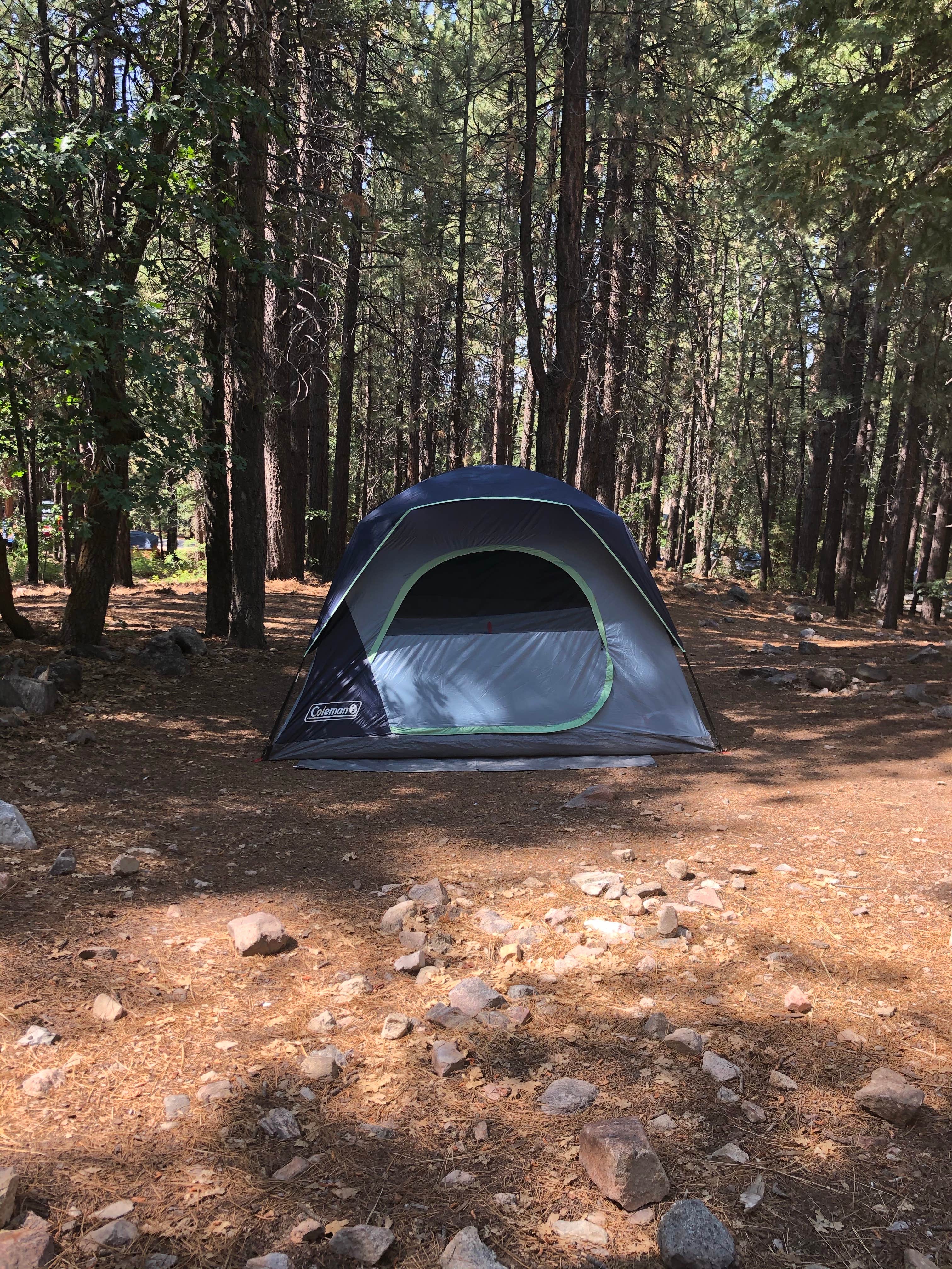 Hannah L.'s photo at Pineknot near Fawnskin, CA