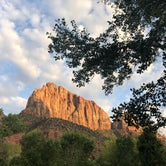 Review photo of Watchman Campground — Zion National Park by Hannah L., August 31, 2020