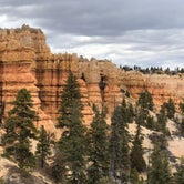 Review photo of North Campground — Bryce Canyon National Park by Dave L., May 11, 2018
