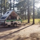 Review photo of Peregrine Pines FamCamp by Ian , August 31, 2020