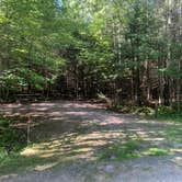 Review photo of Woodenfrog Campground by Sethen E., August 31, 2020