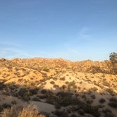 Review photo of Cottonwood Campground — Joshua Tree National Park by Dave L., May 11, 2018