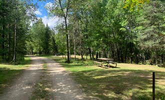Camping near Kabetogama Lake Group Campsite: Woodenfrog — Kabetogama State Forest, Voyageurs National Park, Minnesota