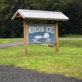 Review photo of Moonshine Acres RV Park by Ragan , August 31, 2020