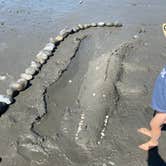 Review photo of South Beach Campground — Olympic National Park by Blaine B., August 31, 2020