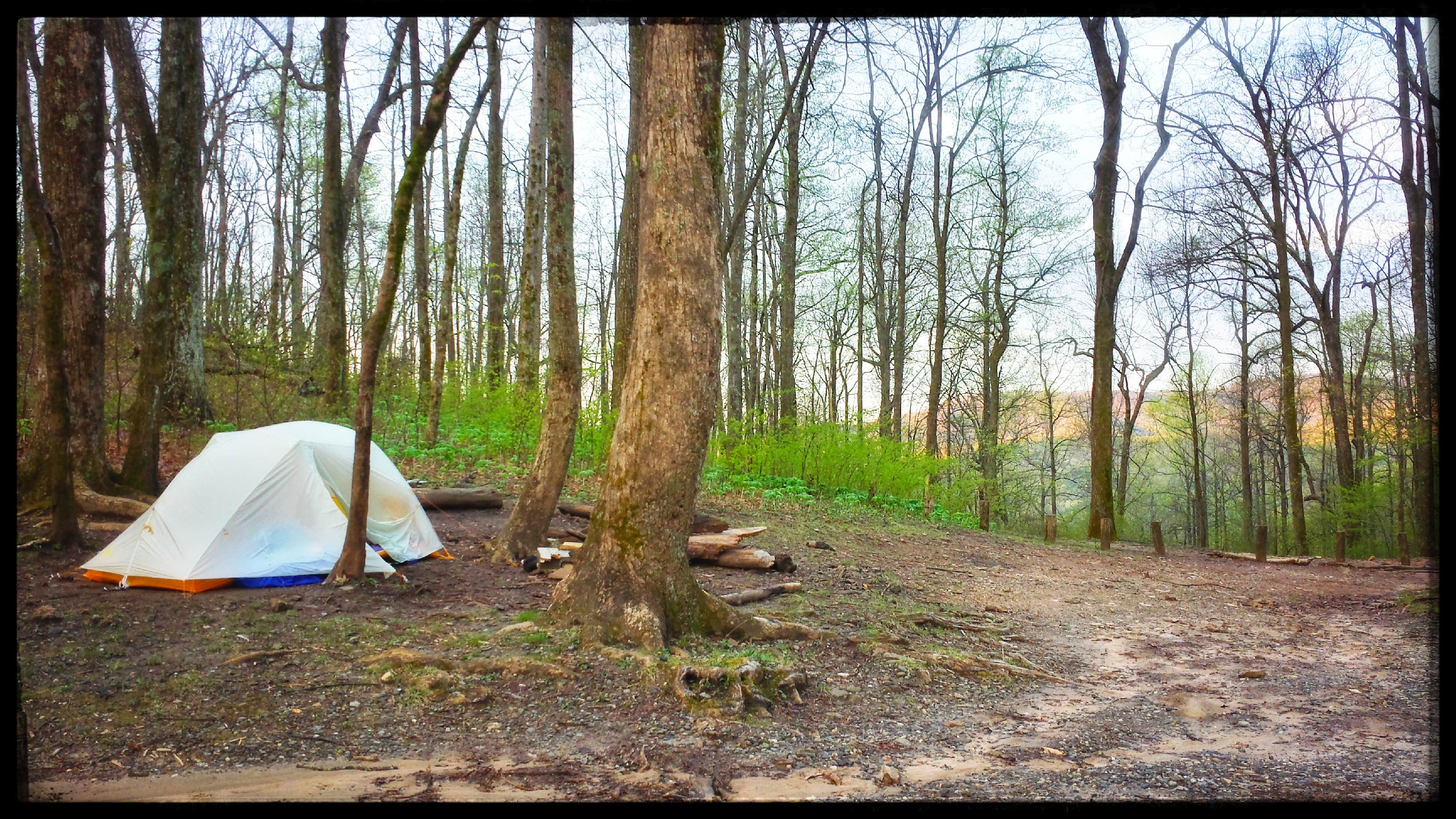 Amy G.'s photo of tent camping at Horse Gap near Murrayville, GA