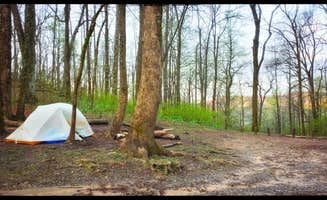 Amy G.'s photo of tent camping at Horse Gap near Culberson, NC