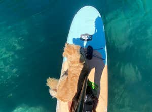 Jackson F. Kimball State Recreation Site