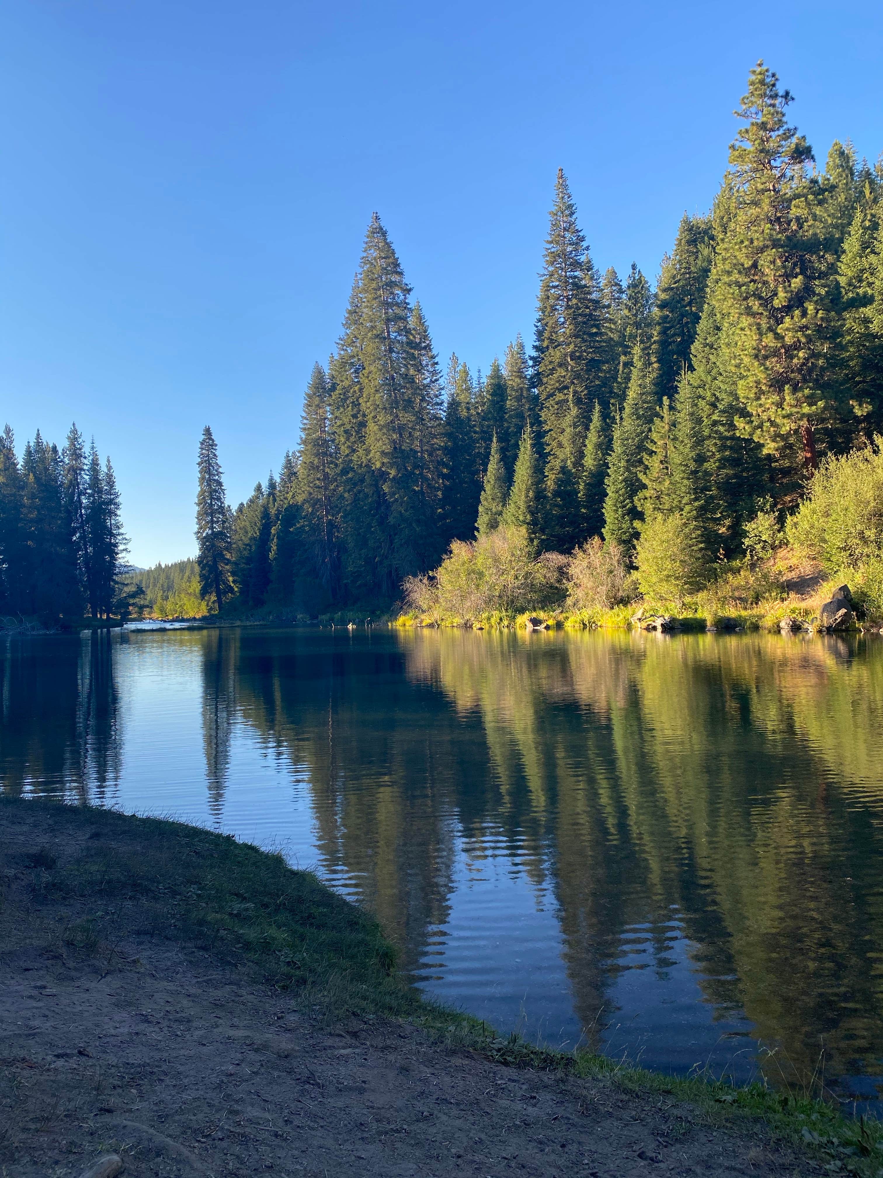 Heather M.'s photo of a dispersed camping area at Jackson F. Kimball State Recreation Site near Butte Falls, OR