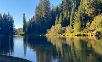 Heather M.'s photo of a dispersed camping area at Jackson F. Kimball State Recreation Site in Oregon