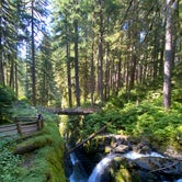 Review photo of Sol Duc Campground - Group — Olympic National Park by Blaine B., August 31, 2020