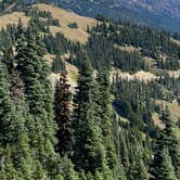 Review photo of Heart O' the Hills Campground — Olympic National Park by Blaine B., August 31, 2020