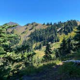 Review photo of Heart O' the Hills Campground — Olympic National Park by Blaine B., August 31, 2020