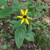 Review photo of Tombigbee State Park by Juju M., August 31, 2020