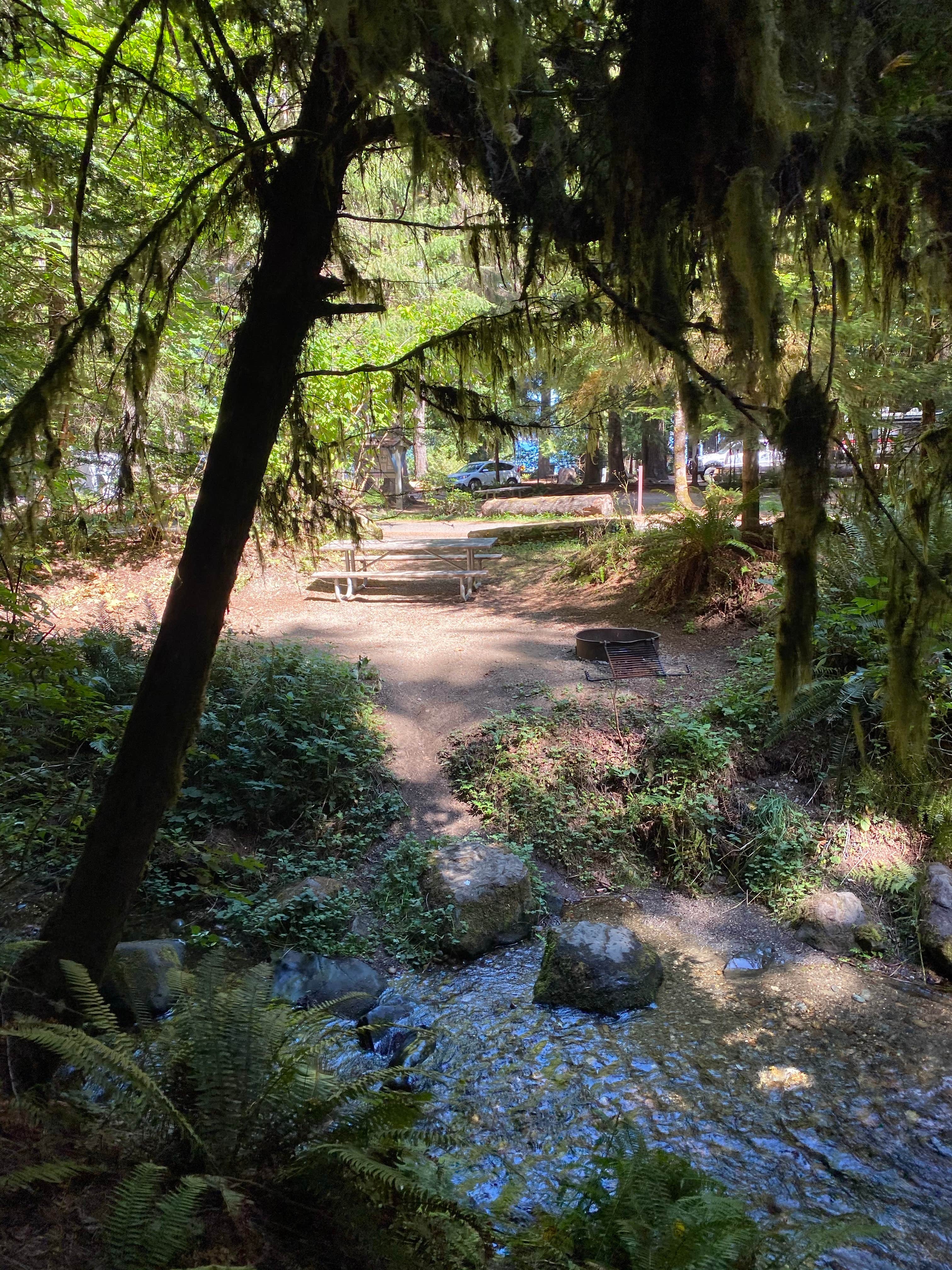 Camper-submitted photo at Potlatch State Park Campground near Matlock, WA