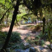 Review photo of Potlatch State Park Campground by Blaine B., August 31, 2020