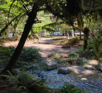 Camper-submitted photo from Staircase Campground — Olympic National Park